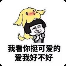 aplikasi supaya menang main slot Sesedikit mungkin aktivitas, Hong Xiu suka berubah menjadi elang, itu sebabnya